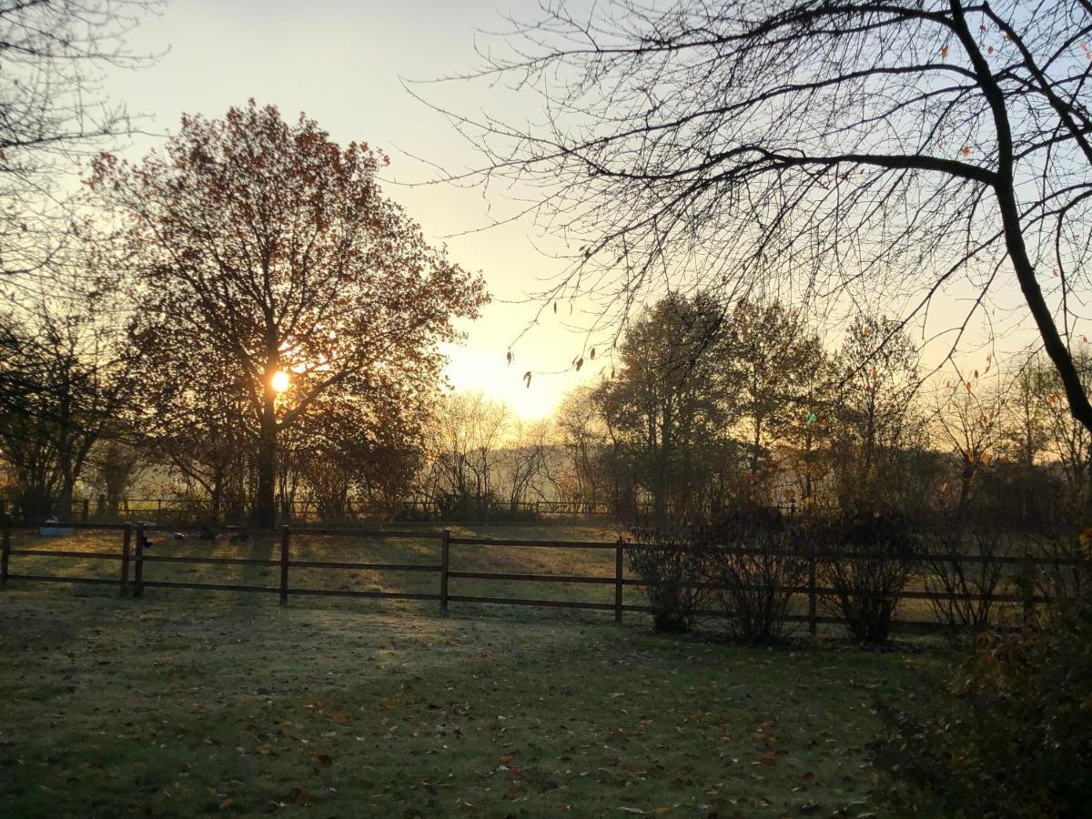 Villa am Hülser Berg nähe Düsseldorf Krefeld Exteriör bild