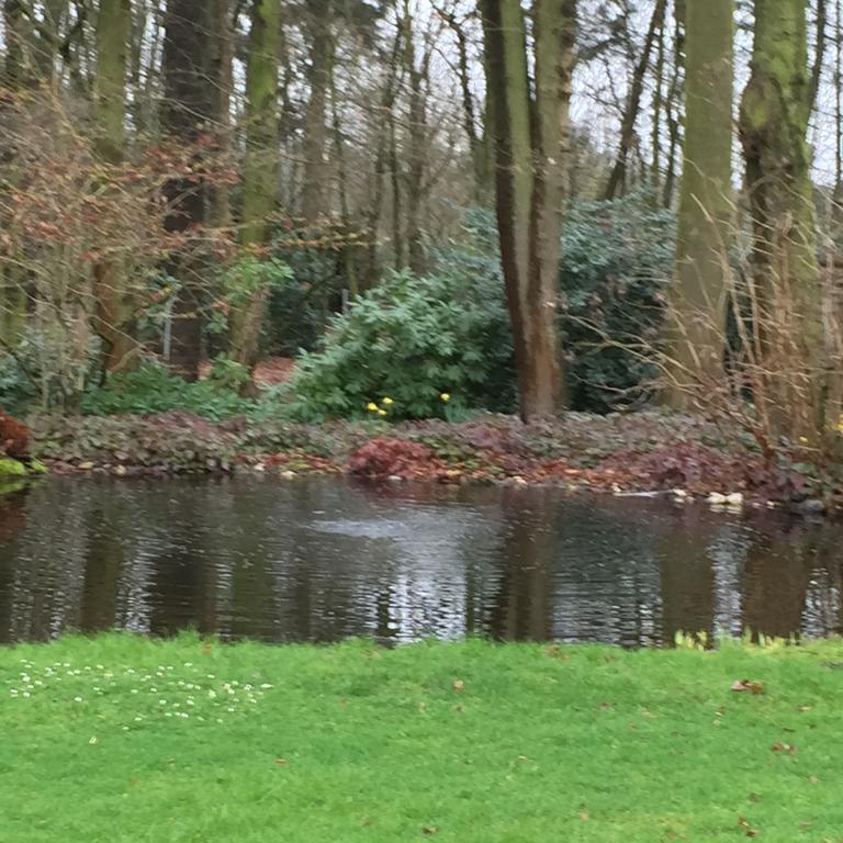 Villa am Hülser Berg nähe Düsseldorf Krefeld Exteriör bild